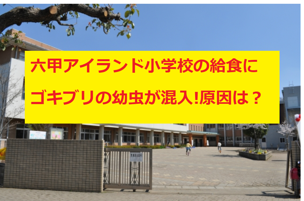 六甲ｱｲﾗﾝﾄﾞ小学校の給食にゴキブリ混入 原因は 神戸の学校がヤバい うさぎ好き主婦 ウサ子の日常