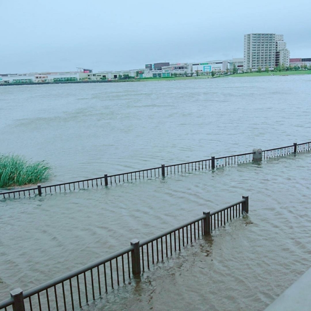 台風19号 荒川や多摩川 各河川が氾濫 被害状況や現地の画像 うさぎ好き主婦 ウサ子の日常