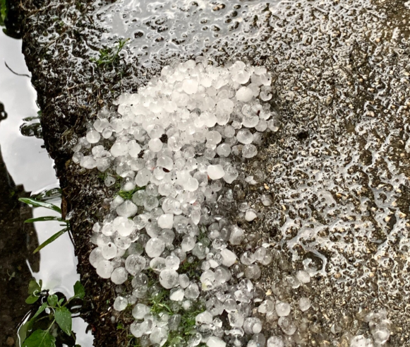 大阪で雹 ひょう ガラス割れそう タピオカぐらい 現地の様子や画像 うさぎ好き主婦 ウサ子の日常 大阪で雹 ひょう ガラス割れそう タピオカぐらい 現地の様子や画像 うさぎ好き主婦 ウサ子の日常