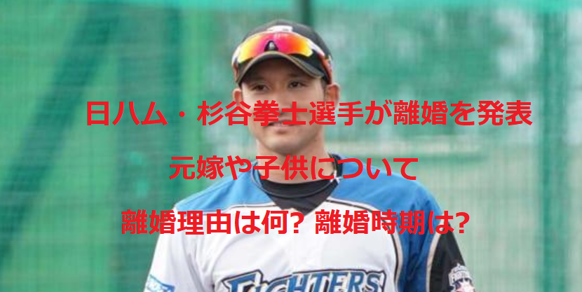 杉谷拳士が嫁と離婚の理由は 子供や離婚時期は 美人妻と一体何が うさぎ好き主婦 ウサ子の日常