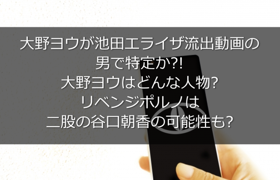 大野ヨウが池田エライザ流出動画の相手か 二股の谷口朝香の可能性も うさぎ好き主婦 ウサ子の日常