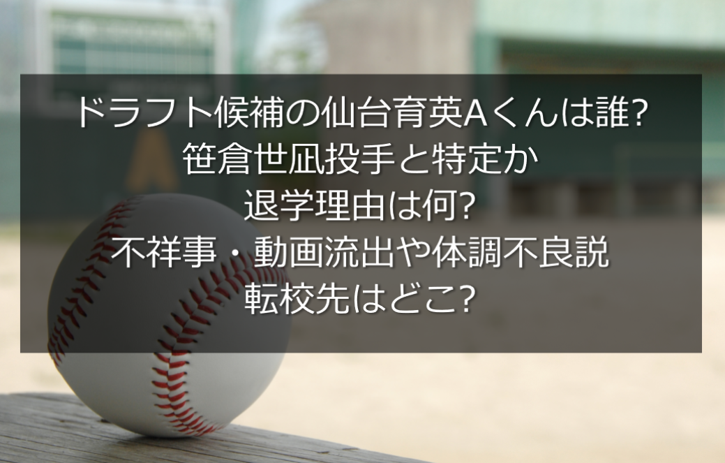 仙台育英aくんは誰で笹倉世凪と特定 退学理由は動画流出や体調不良説 うさぎ好き主婦 ウサ子の日常